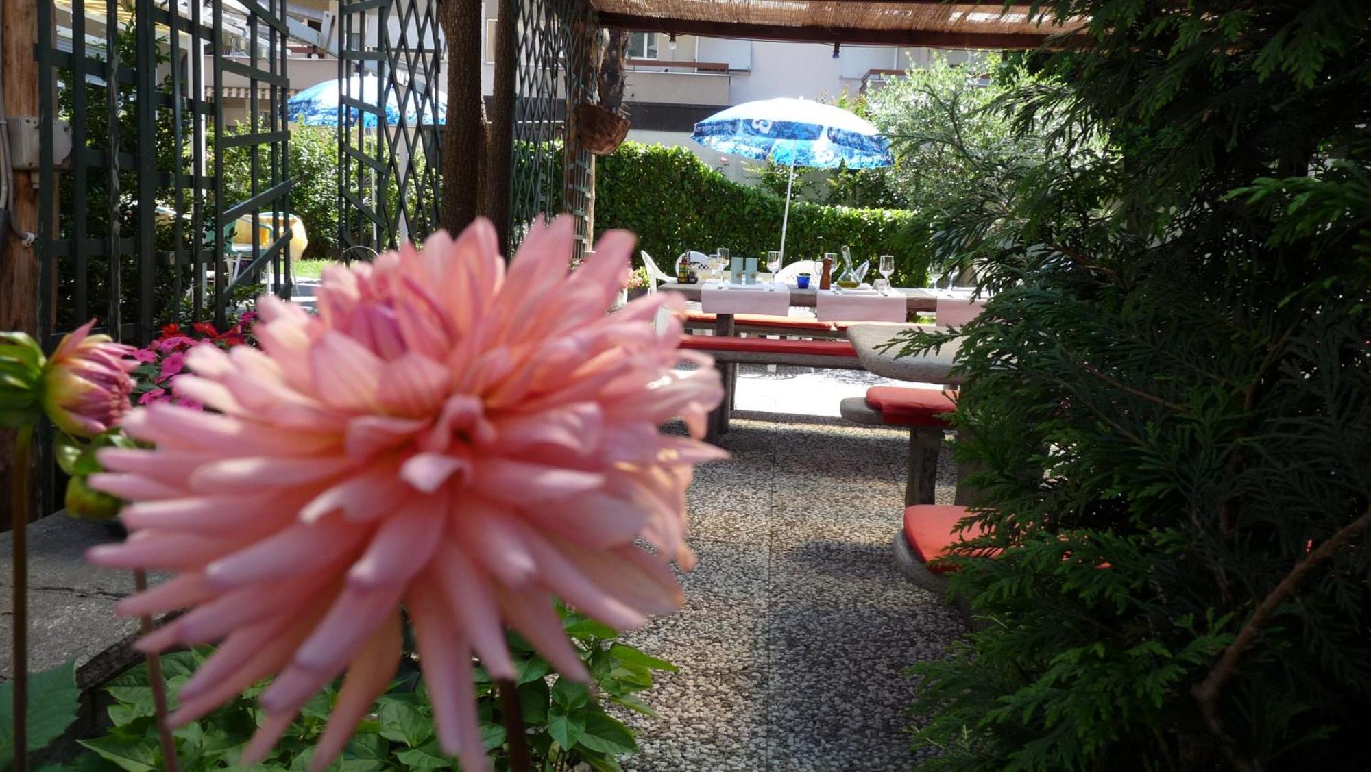 Osteria Ticino Ascona Exterior foto